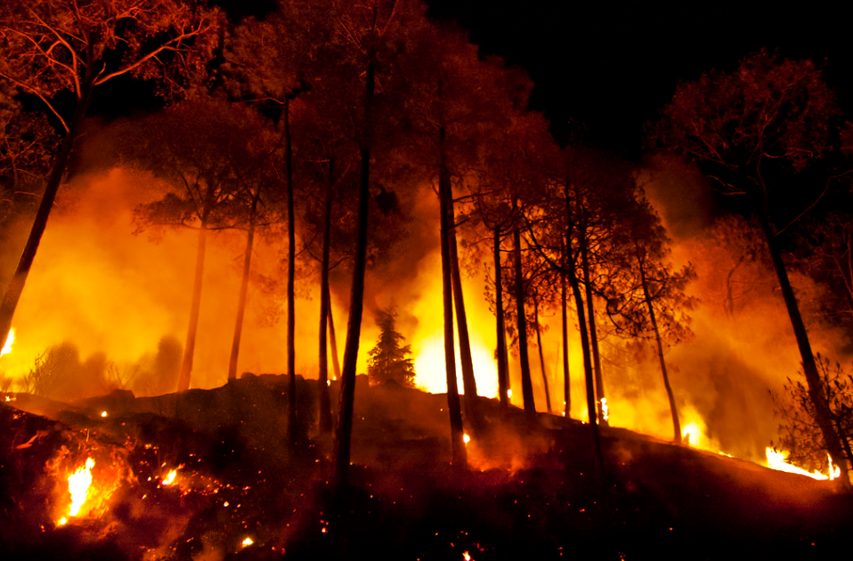 Los Angeles fires. Ukraine plans to help the US