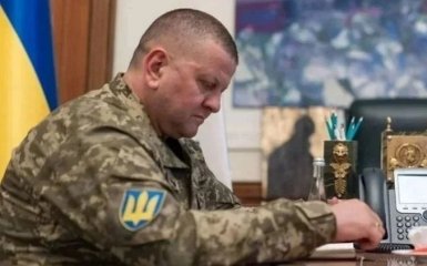 Залужный посетил оперативно-стратегические группировки войск «Хортица» и «Таврия» — видео