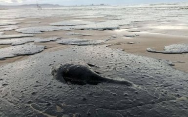 Oil spill in the Sea of ​​Azov