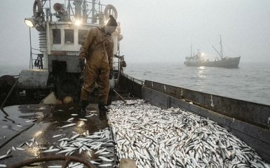 Industrial fishing in the Russian Federation