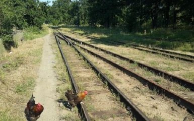 Люди могли вийти з вилами захищати: в Україні розповіли про руйнування історичної пам'ятки