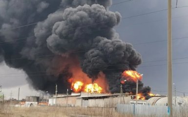 бавовна в Белгородской области