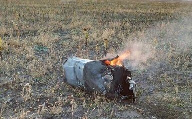 ВСУ за сутки уничтожили 310 военных РФ и 51 крылатую ракету