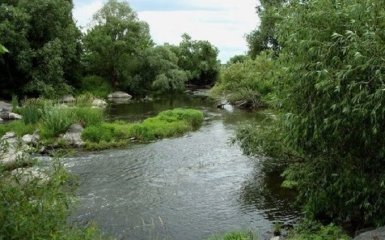 В Кабміні прокоментували екокатастрофу на Росі