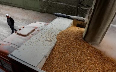 Експорт зерна