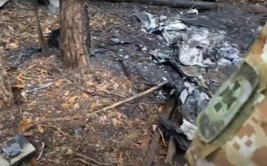 Прикордонники показали нічне полювання на "Шахедів" – відео