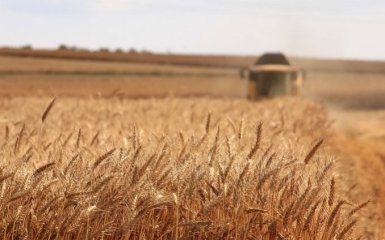 Україна почала обговорювати з Туреччиною питання експорту зерна
